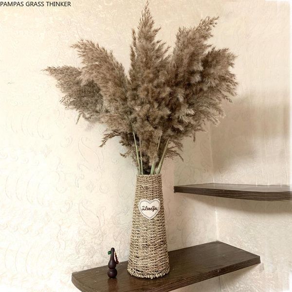 

20pcs wedding flower bunch dried pampas beautiful reed christmas decor grass natural plants decorative flowers & wreaths