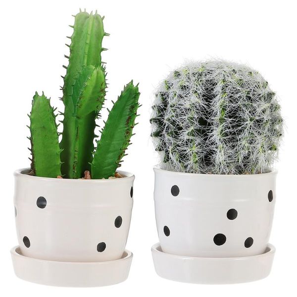 

decorative flowers & wreaths 2pcs nordic style bonsai lifelike fake artificial cactus potted plant for community resort office homes coffee