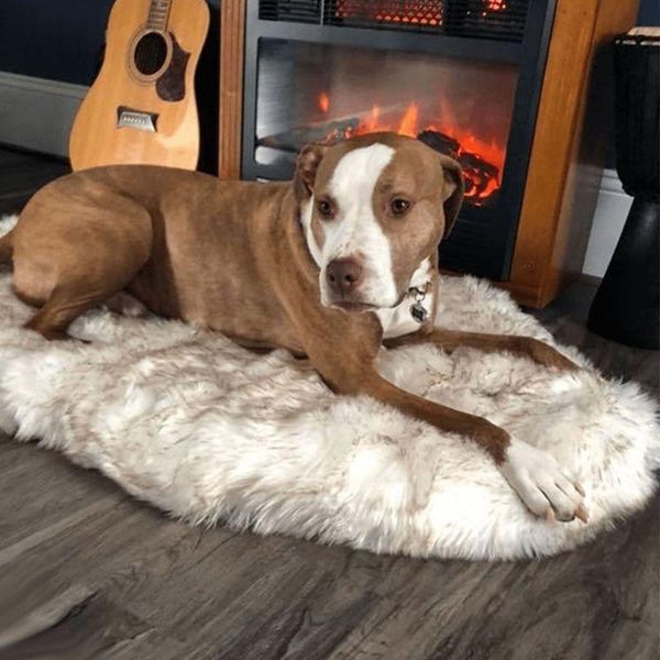 

kennels & pens soft warm plush pet mat orthopedic dog bed support cushion pad blanket for cats puppy winte sleep rest faux fur memory foam b