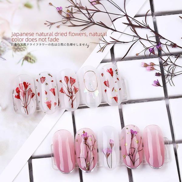 

multicolor nail art small flower jewelry three-dimensional natural dried style art1, Black