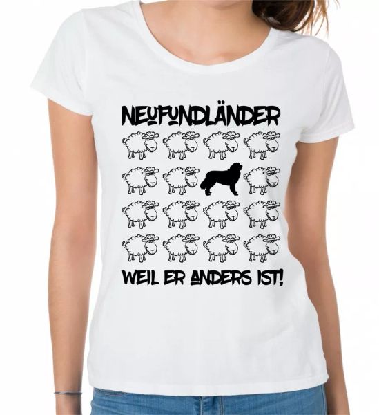 

Newfoundland Ladies T-Shirt Black Sheep by siviwonder, Mainly pictures