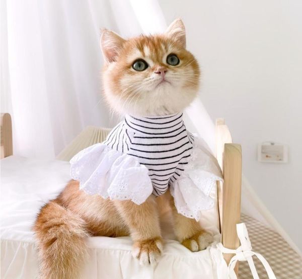 

cat clothes small cats vest costumes