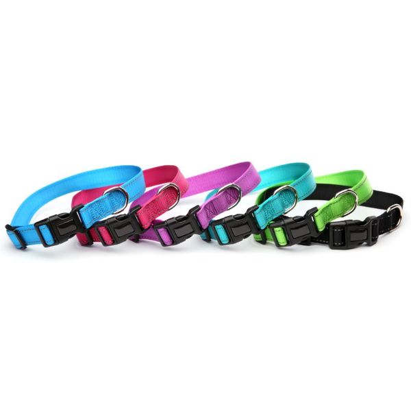

dog collars & leashes nylon reflective wire plastic buckle collar pet out training traction walking supplies