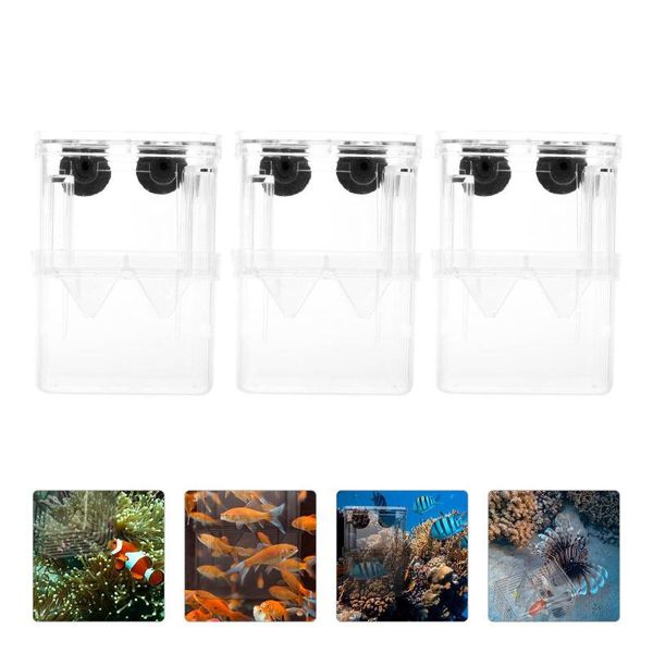 

aquariums 3pcs small fish tank isolation boxes guppy breeding box fry