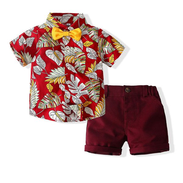 

summer infant baby boys clothes sets 3 colors floral print short sleeve t shirts +shorts holiday 2pcs outfit, White