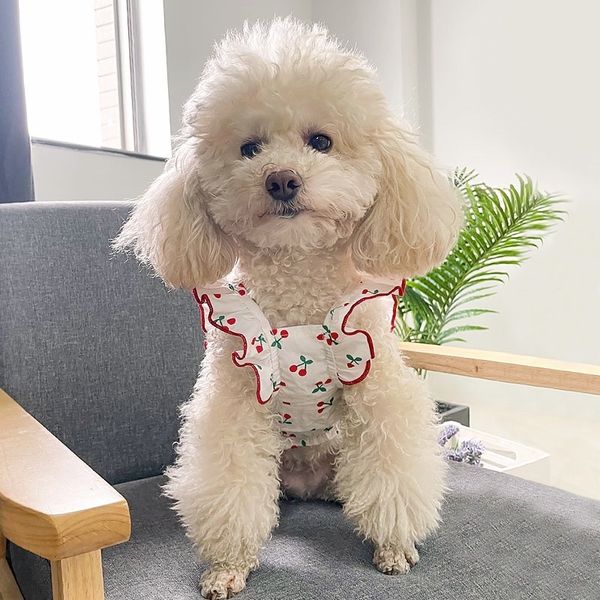 

dog clothing summer thin teddy bear bomei tea cup small dog medium and vt