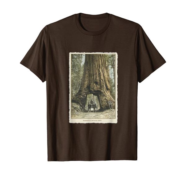 

vintage redwood forest t shirt, california redwoods trees, White;black