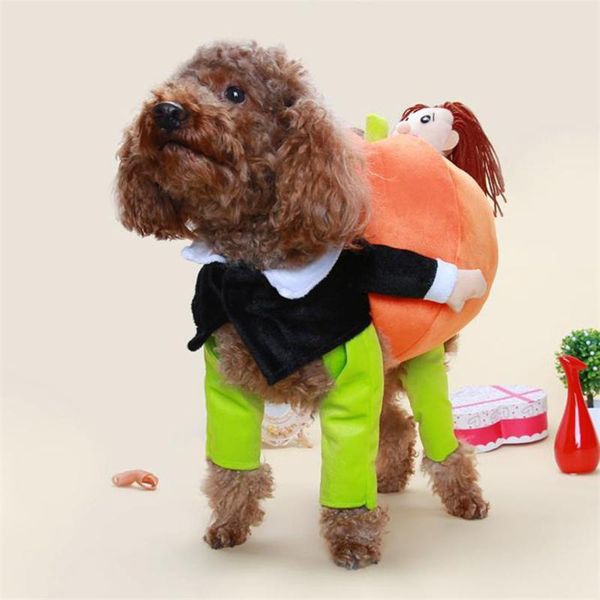 

dog apparel fashion funny pet costume teddy turned into a pumpkin loaded cute