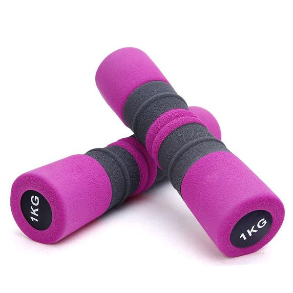

dumbbell women a pairs of thin arms and waist yoga fitness equipment household children exercise dumbbells