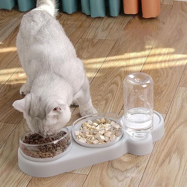 

cat bowls & feeders bowl set with 3 glasses double wet and dry water bottle 2021