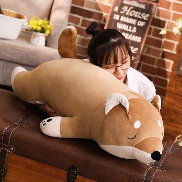 

soft pillow chai animation husky doll japanese akita plush toy keji dog