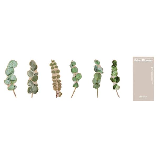 

gift wrap 6 sheets dried flowers plants decal hand account decorative stickers diy craft drop