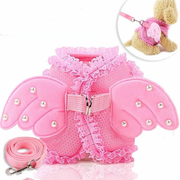

dog collars & leashes small medium angel wing lace collar cat harness leash collares para perros cachorro harnais pour chien belt gato masco