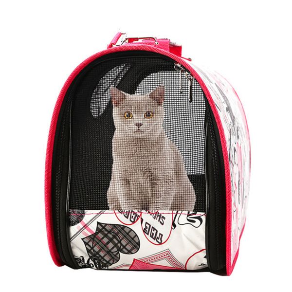 

luxurys outdoors teddy cat travel bag out portable cage breathable space pet cabin backpack schoolbag case