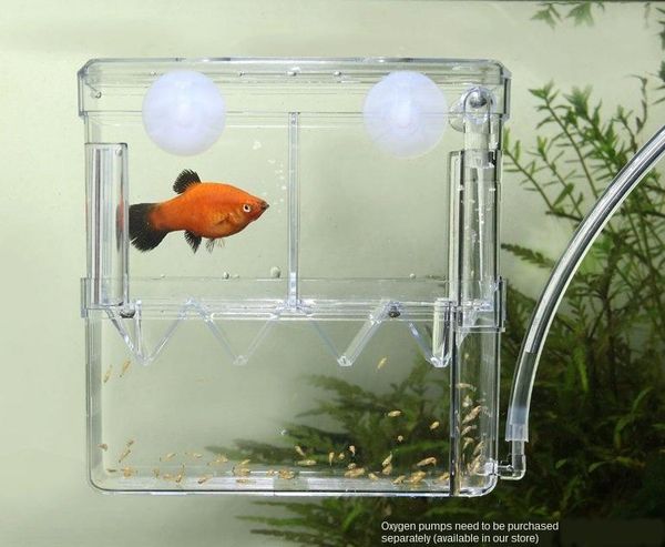 

aquariums fish tank breeding box isolation segregator type ornamental shrimp non-acrylic small aquarium accessories