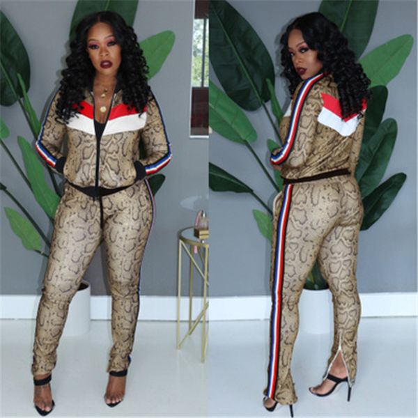 

women two-piece webbing tracksuits fashion trend zipper cardigan long sleeve jackets trousers suits designer female casual sports 2pcs sets, Gray