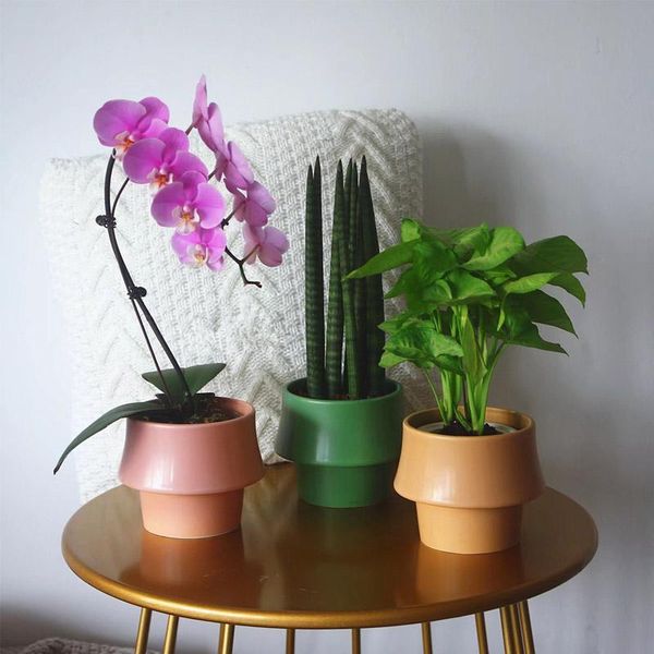 

planters & pots creative irregular ceramic flower round succulents cactus potted perforated living room balcony office deskdecoration