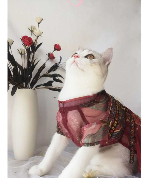 

cat costumes clothes small cats vest casual warm kitten shirt coat