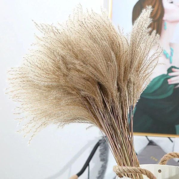 

real dried small pampas grass wedding flower bunch natural plants home decor flowers phragmites ornamental decorative & wreaths