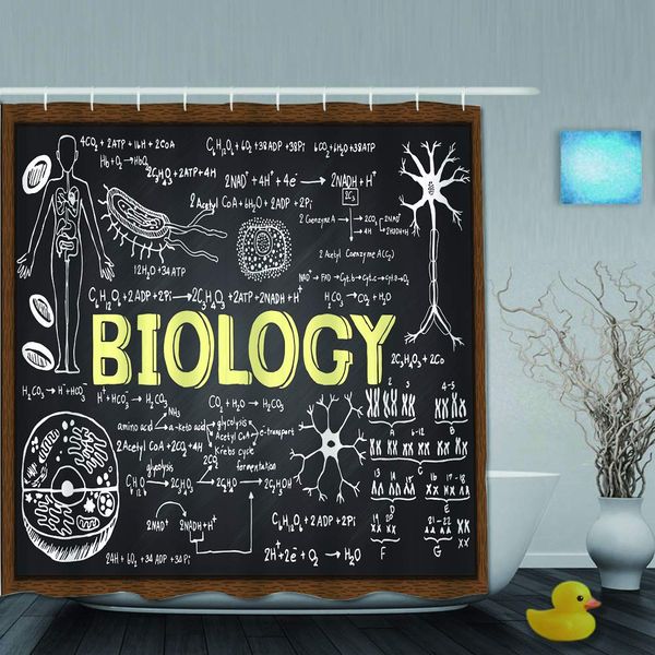 

bath shower curtain set with 12 hooks hand drawn biology on chalkboard