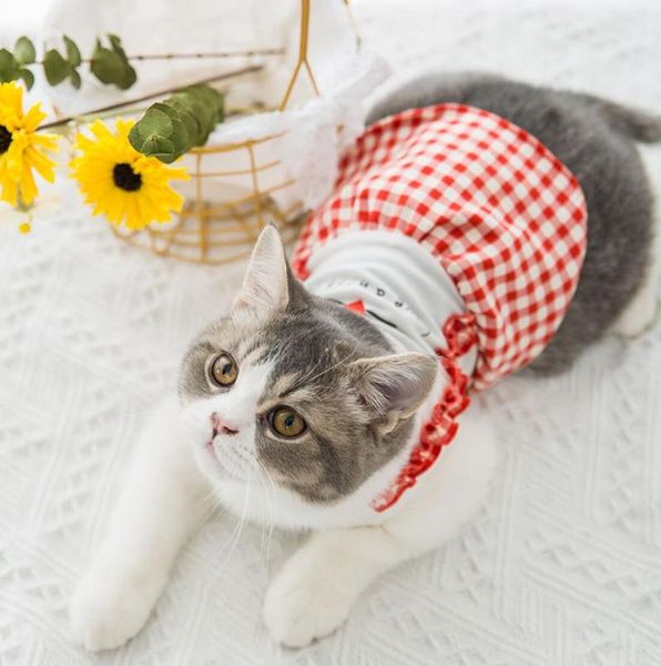 

cats fashion tulle cat one-piece dress dog clothes costumes