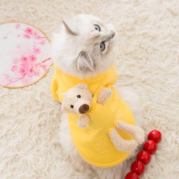 

cat sweater arrival pet clothes pocket bear teddy small dog autumn winter clothing warm comfortable breathable costumes