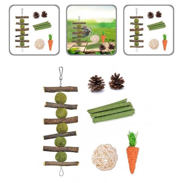 

small animal supplies teeth cleaning multiple types care toys for squirrel