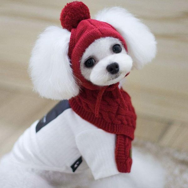 

cat costumes korean style dog hat scarf set pet wool decoration warm clothing winter supplies