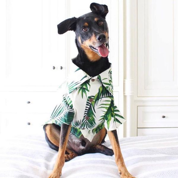 

dog apparel hawaii green bamboo pet colorful summer style costume, cool home furnishing products, suitable for a variety of scenarios