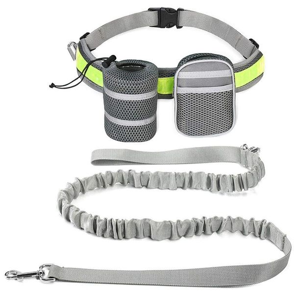 

dog collars & leashes hands-leash, suitable for running, walking, hiking, durable cushioning rubber band leash - reflective waist 6 fe