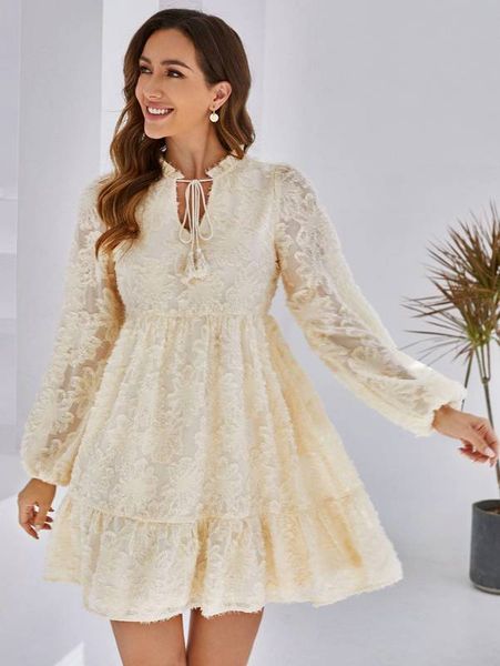 

tassel tie neck lantern sleeve jacquard appliques dress she, Black;gray