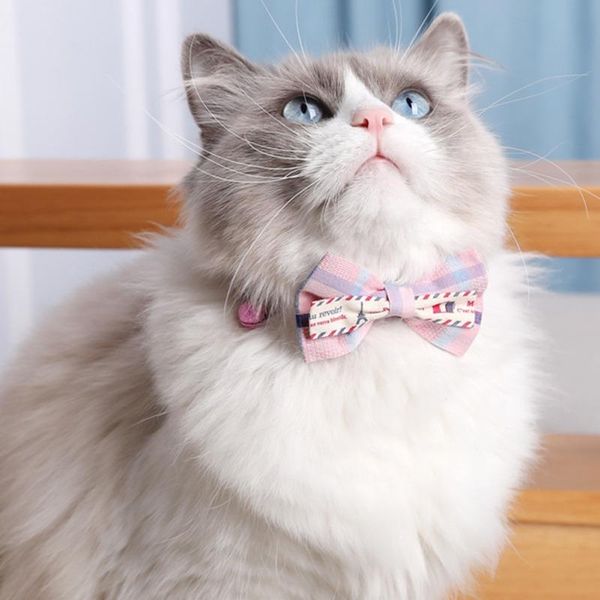 

cat collars & leads pet collar lattice bow bell