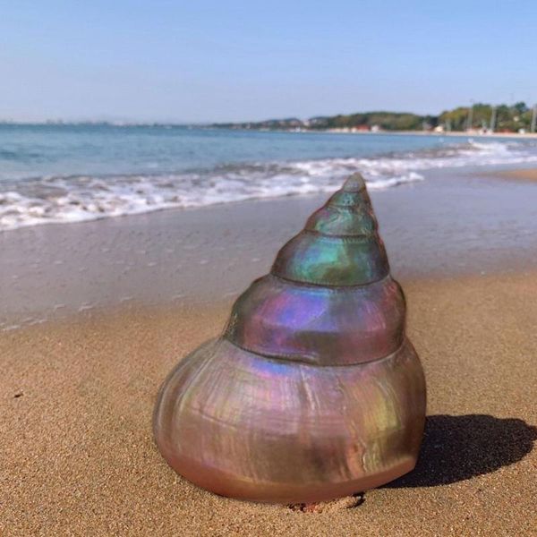 

novelty items 5-6 natural luminous pearl tower home color decoration fish landscaping k8i4