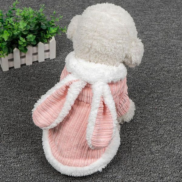 

dog apparel pet autumn and winter warm clothes cute costume design 2-legged cotton-padded coat for 2021