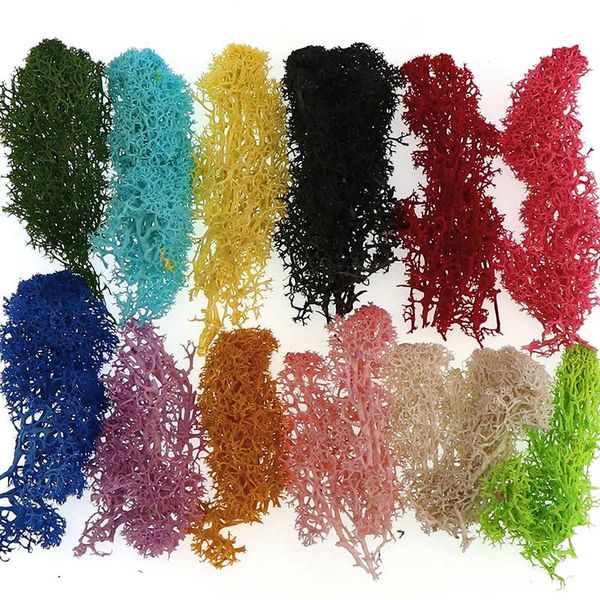 

decorative flowers & wreaths antler moss color garden decoration classic micro landscape embellishment diy immortal accessories