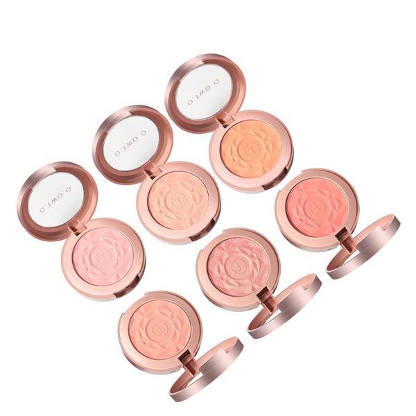 

blush grooming brightening long-lasting easy-to-wear monochrome