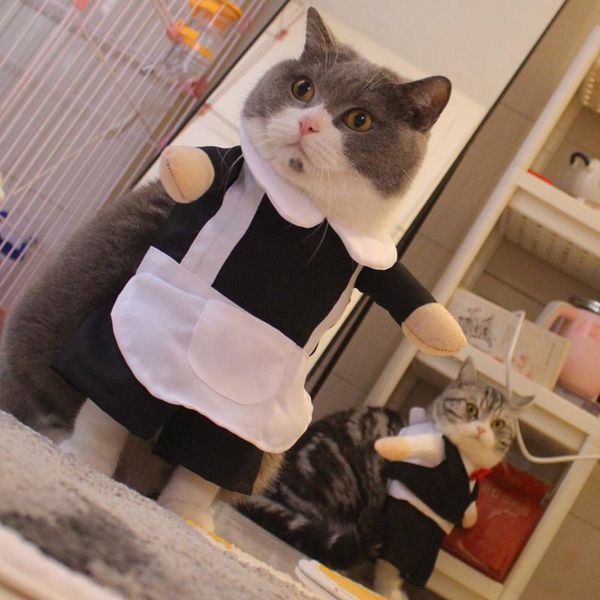 

cat costume dog halloween costumes