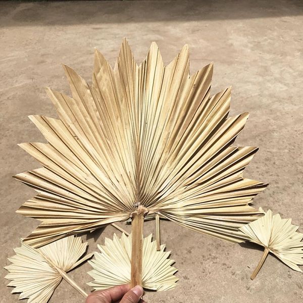 

decorative flowers & wreaths natural plants dried flower fan leaf wedding decoration sunflower leaves diy home swing vase arrangement