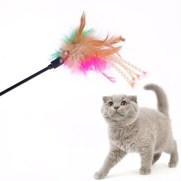 

cat toys funny pet bell toy feather interactive training traps teasing interesting hamster kat play supplies 50m0235