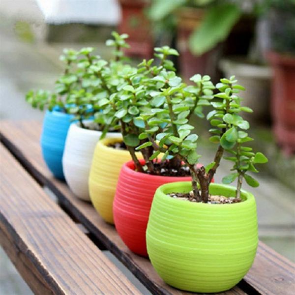 

200pcs gardening flower pots small mini colorful plastic nursery flower planter pots garden deco gardening tool 275i
