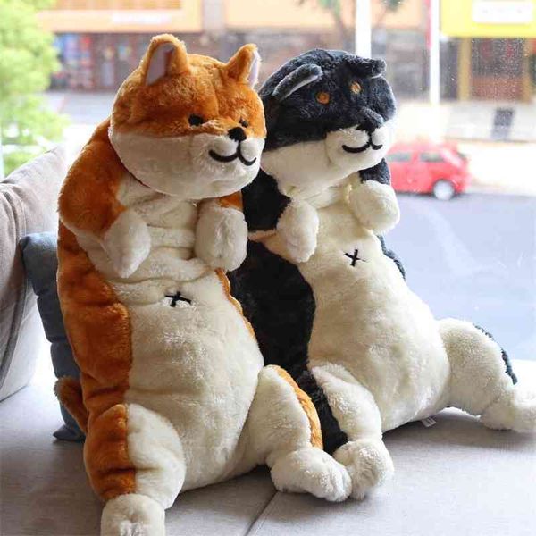 

cartoon cartoon cheshire cat plush doll japanese dog