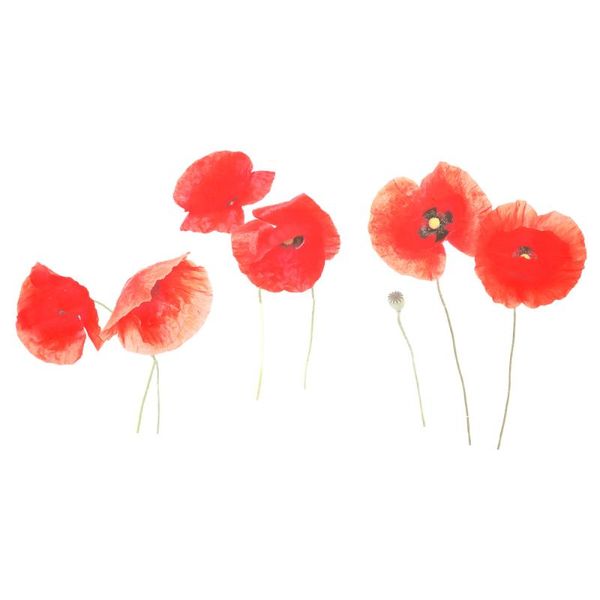 

sheet poppy flower wall sticker self-adhesive decal art decoration stickers