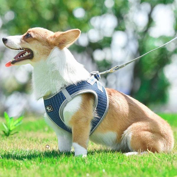 

dog collars & leashes mesh strap puppy harness dogs chest breathable pet lash durable reflective vest walking