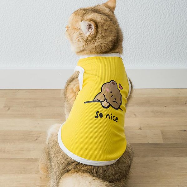 

cool bear cat vest pet clothes small dog pups summer breathable spring and costumes