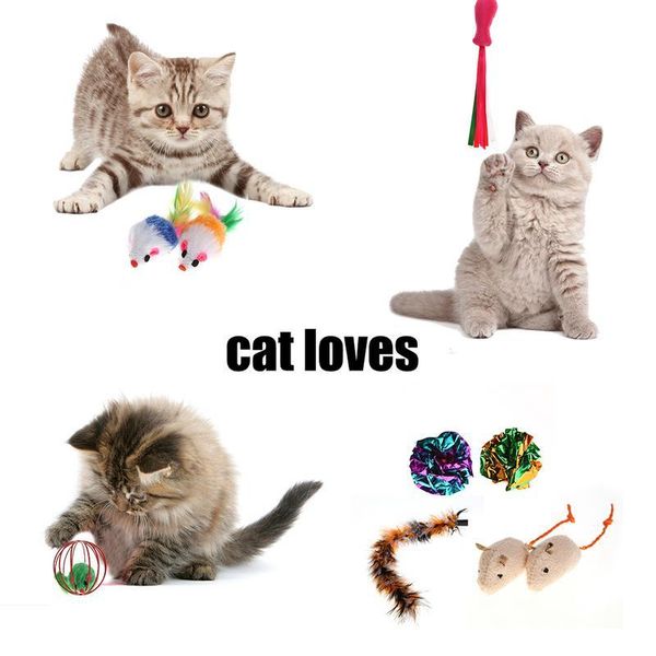 

pet cat toy set feathers products teaser mouse shape 11 pieces toys