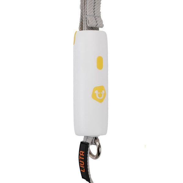 

arrival dog leashes elastic pet chain collars &