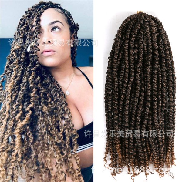 

braids crochet passage hair twist, Black