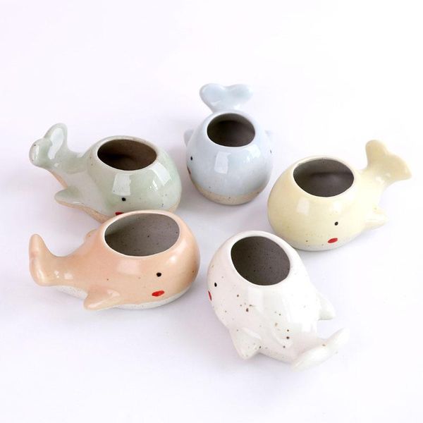 

cute little whale fleshy cartoon pots mini hand-painted thumb planters &