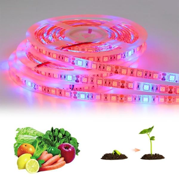 

grow lights 5m led light tape phytolamp strip lamp for plants flower seeds growth greenhouse hydroponic 12v smd full spectrum
