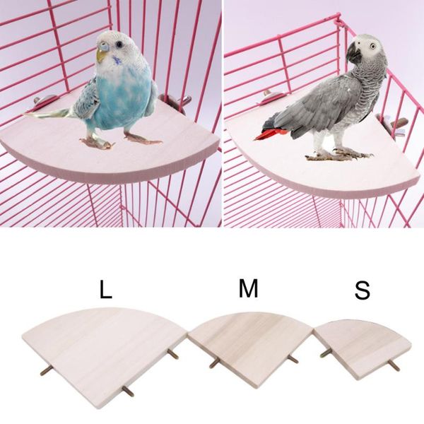 

other bird supplies fan-shaped parrot wooden stand rack cage accessories perch for small animal chinchilla squirrel hamster board